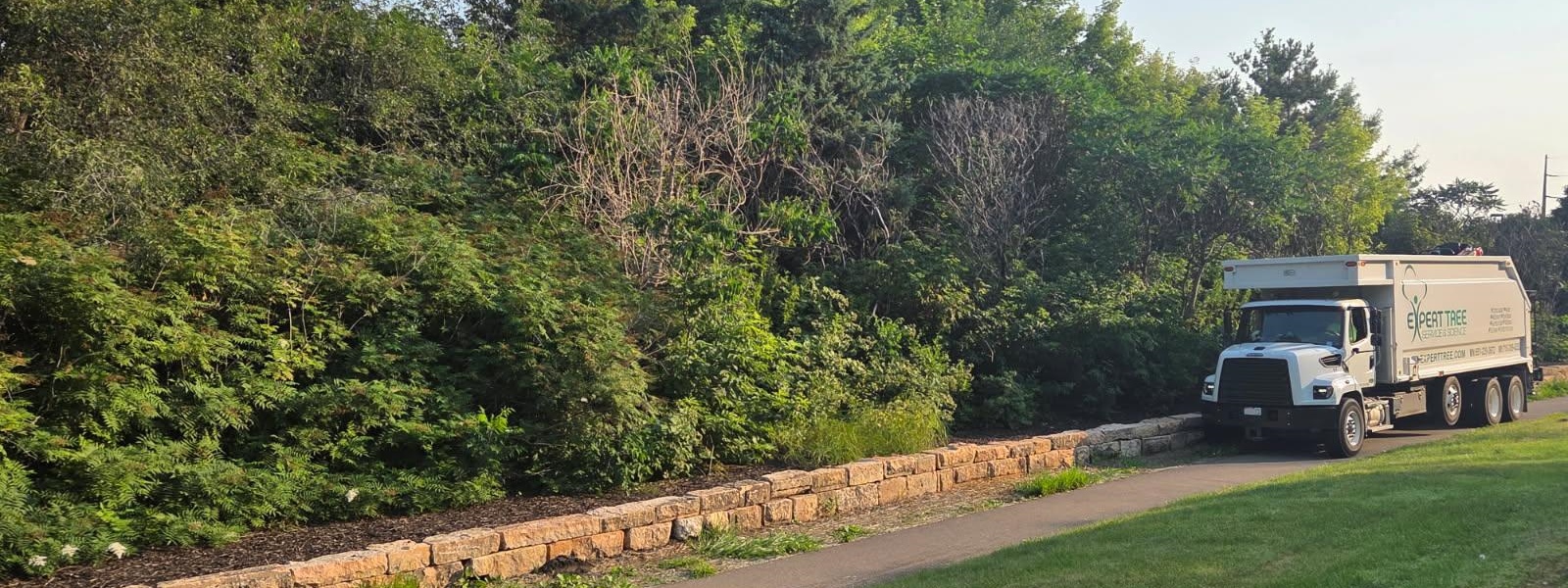 Commercial Land Clearing & Invasive Species Removal for a Mendota Heights HOA
