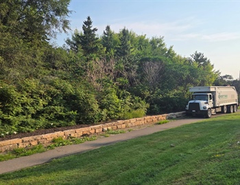 Commercial Land Clearing & Invasive Species Removal for a Mendota Heights HOA