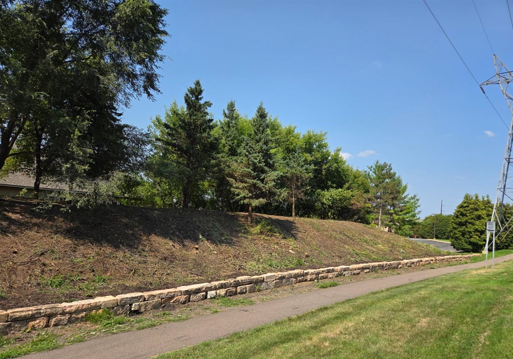 https://experttree.com/featured-projects/commercial-land-clearing-invasive-species-removal-for-a-mendota-heights-hoa