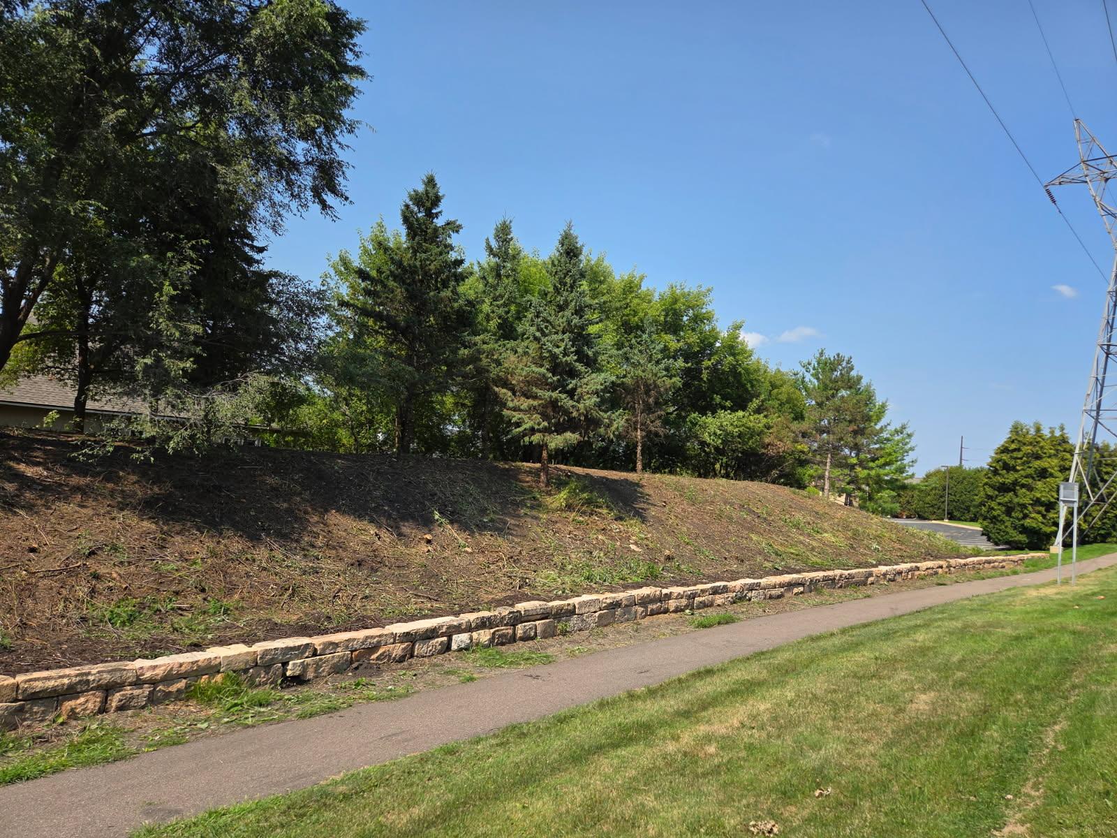 Commercial Land Clearing & Invasive Species Removal for a Mendota Heights HOA