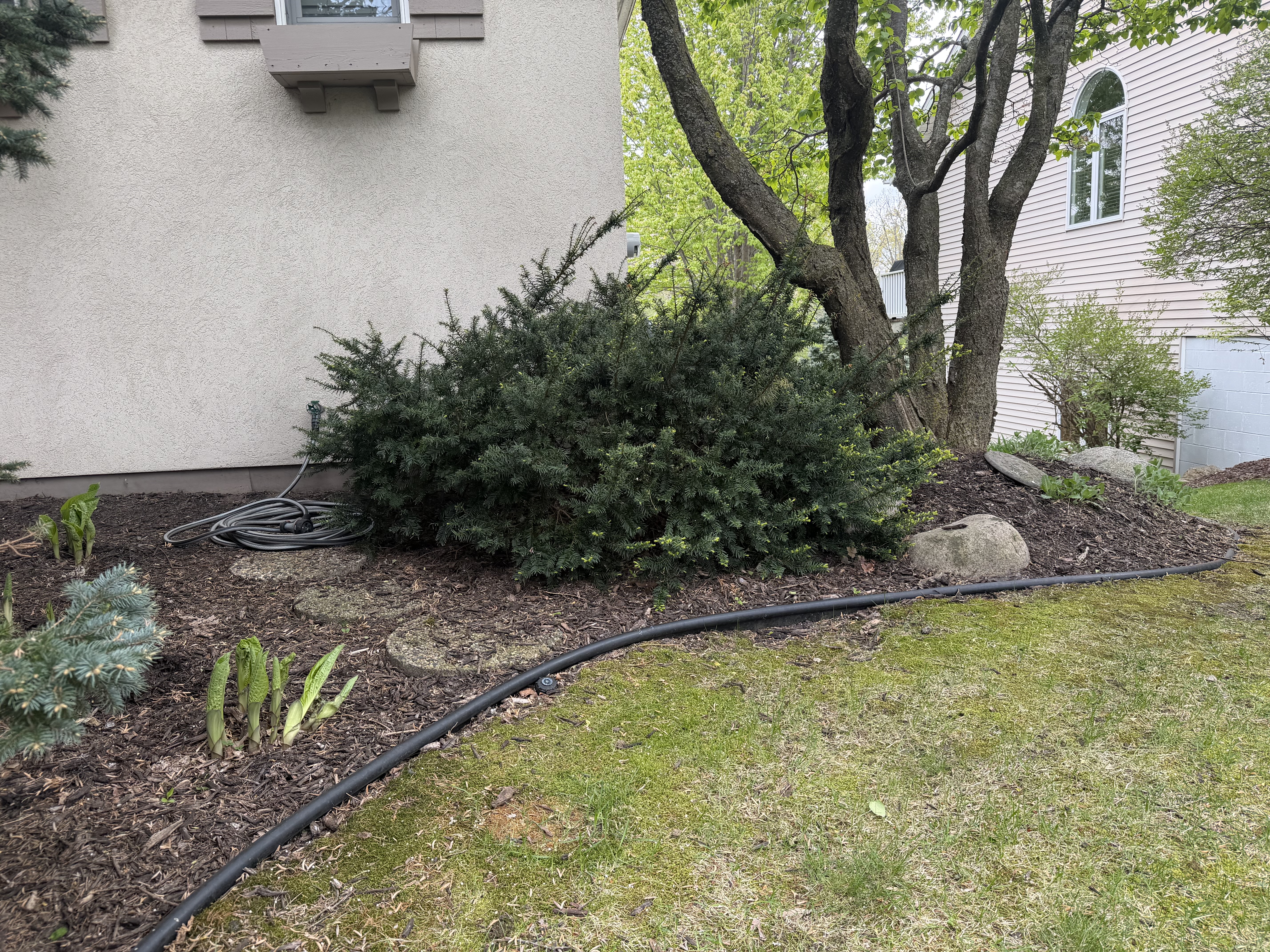 Before - exterior paint set 1