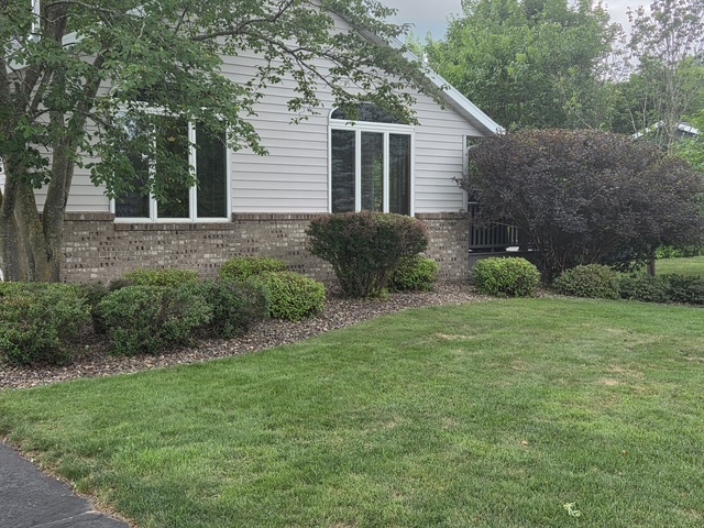 Mature foundation shrubs after selective pruning and landscape maintenance in Menomonie, WI