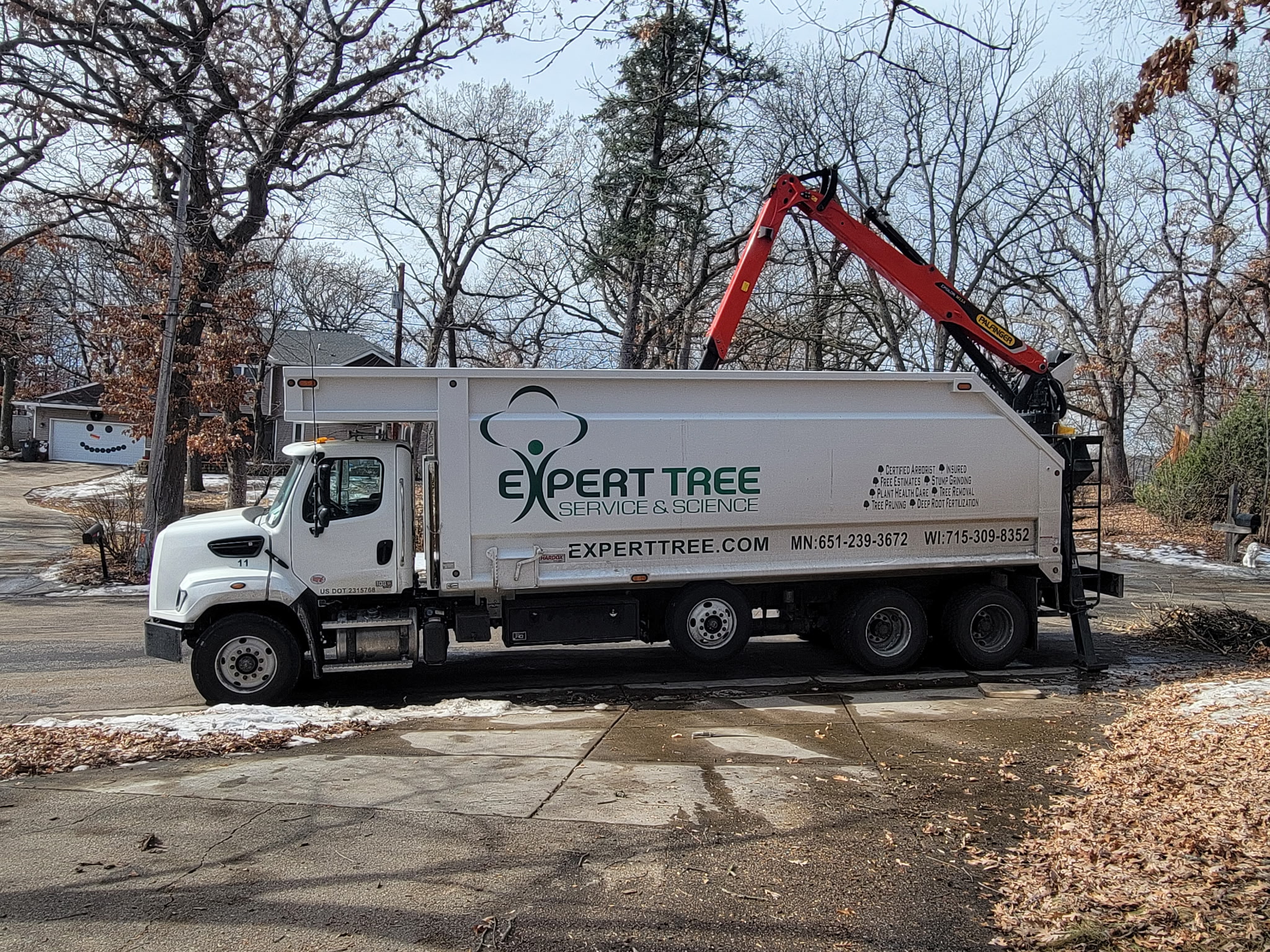 Arborist climbing and trimming a tall tree