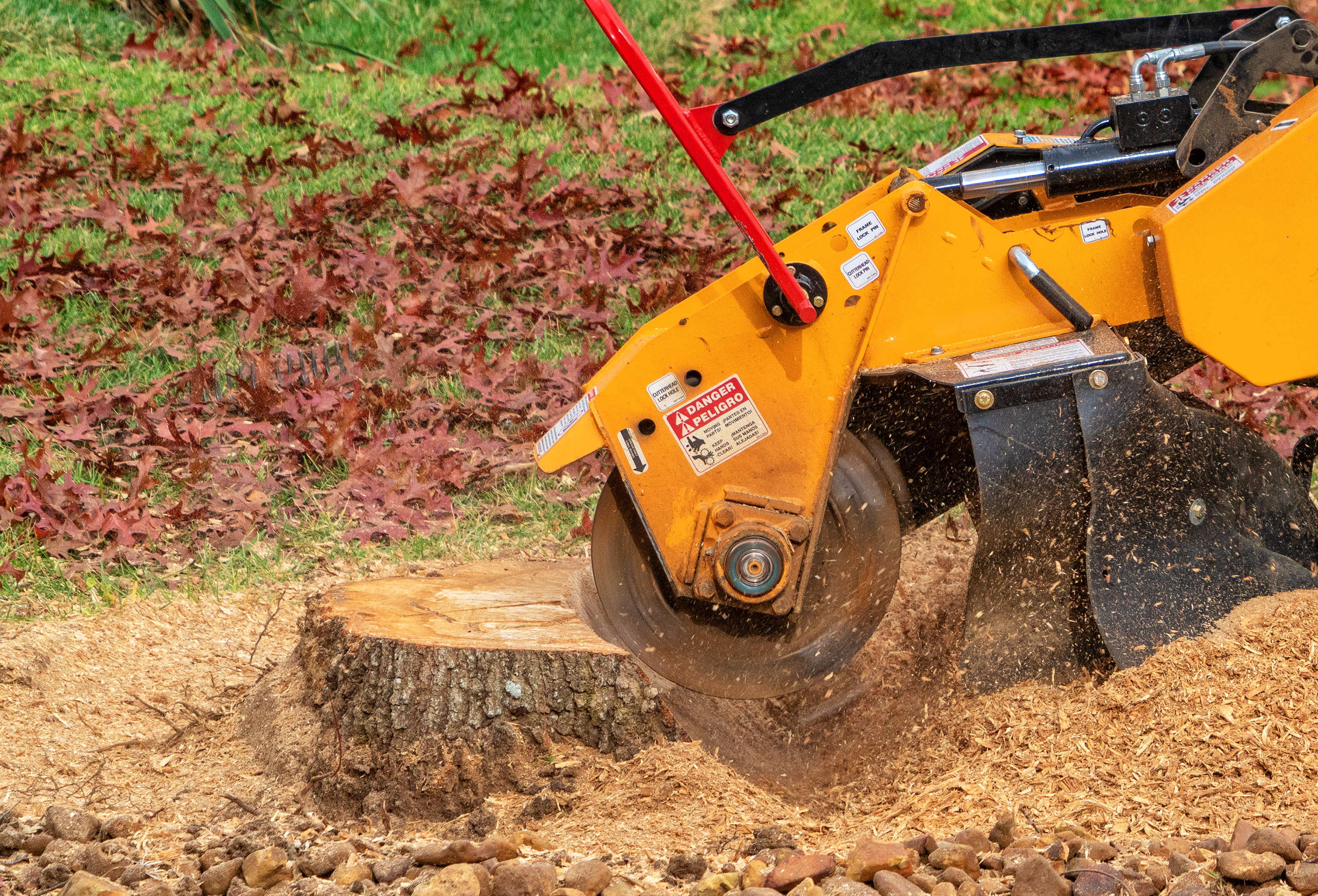 Stump grinding and cleanup